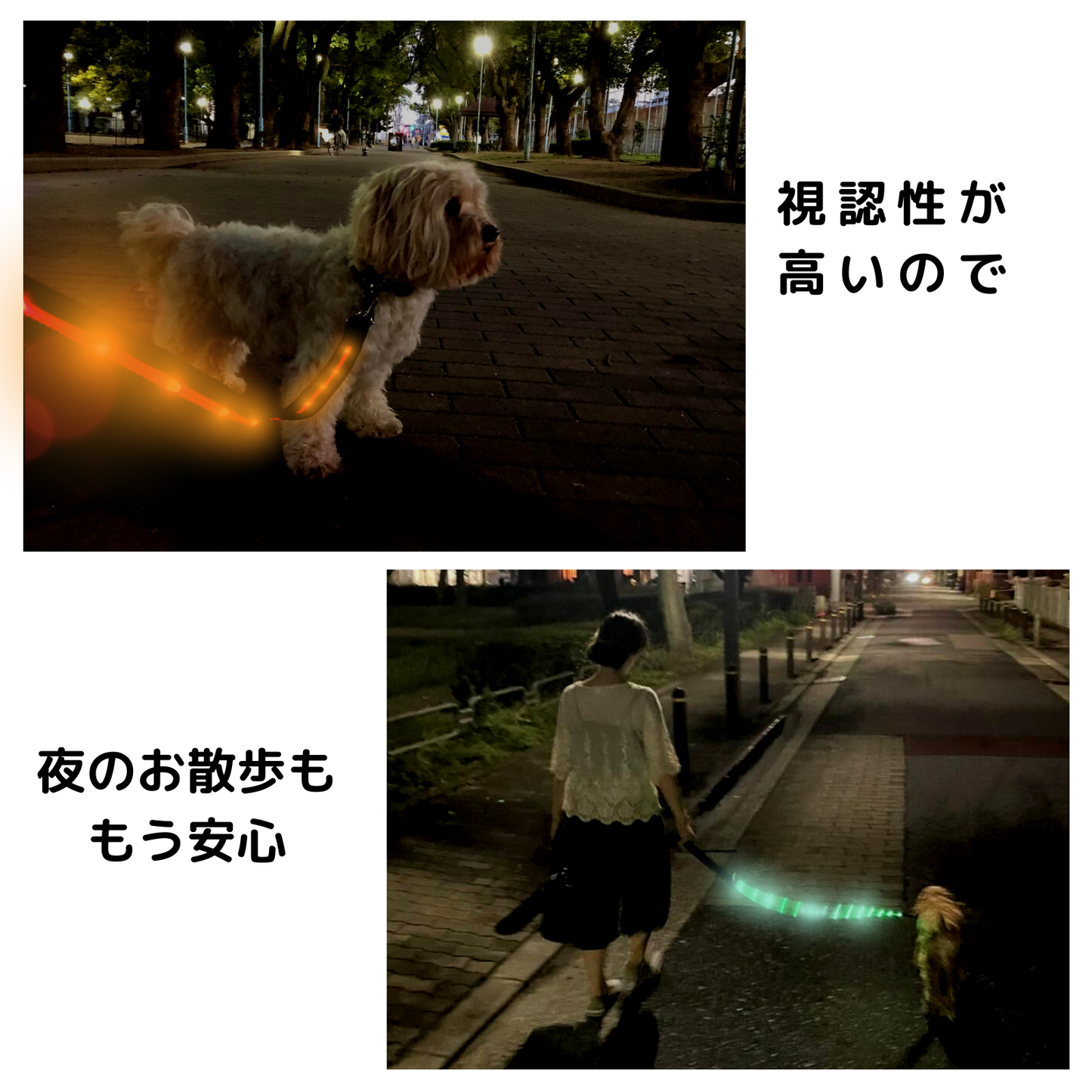 【新モデル】犬 リード led 光る 充電式 ライト ドッグリード 1.2m 小型犬 中型犬 大型犬 送料無料 メール便 即日発送 ペット用品 全長全面ライト付き 夜間 安全対策 TERUI Lights