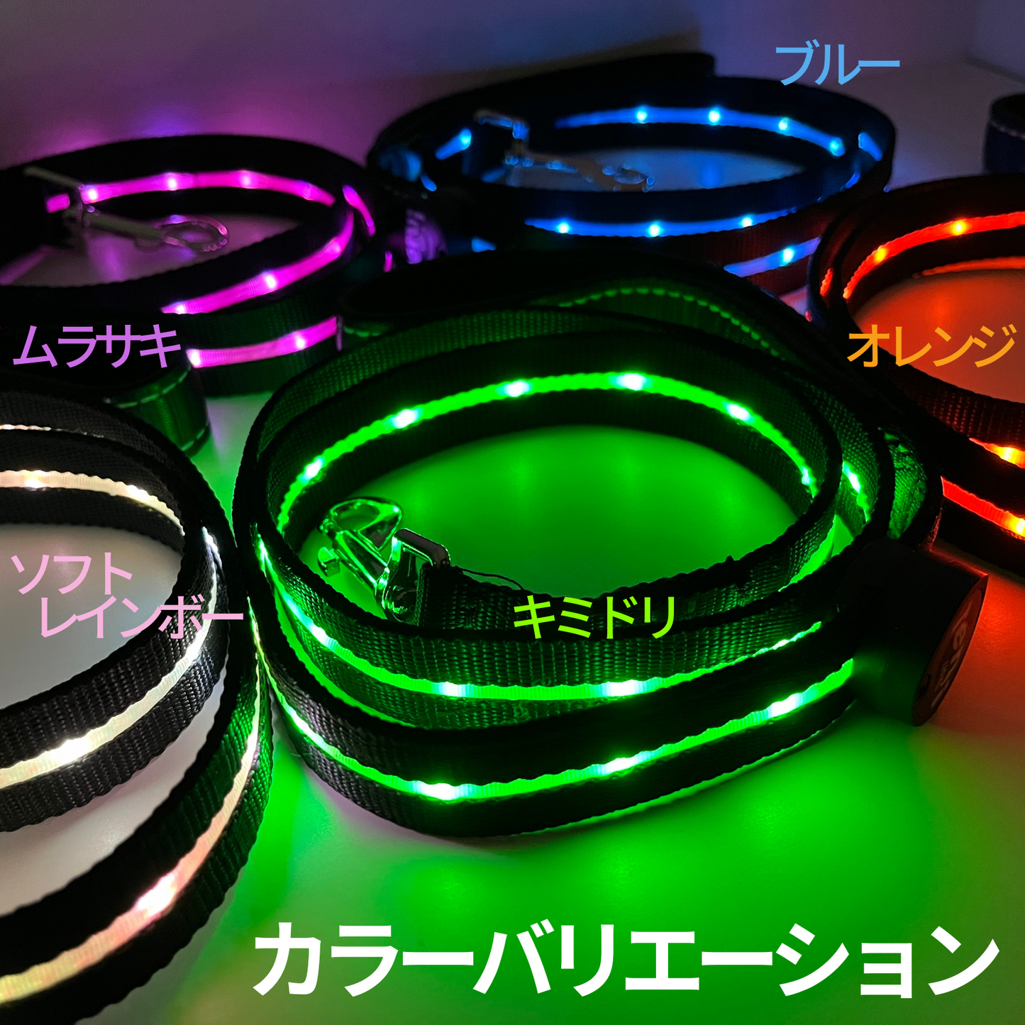 【新モデル】犬 リード led 光る 充電式 ライト ドッグリード 1.2m 小型犬 中型犬 大型犬 送料無料 メール便 即日発送 ペット用品 全長全面ライト付き 夜間 安全対策 TERUI Lights