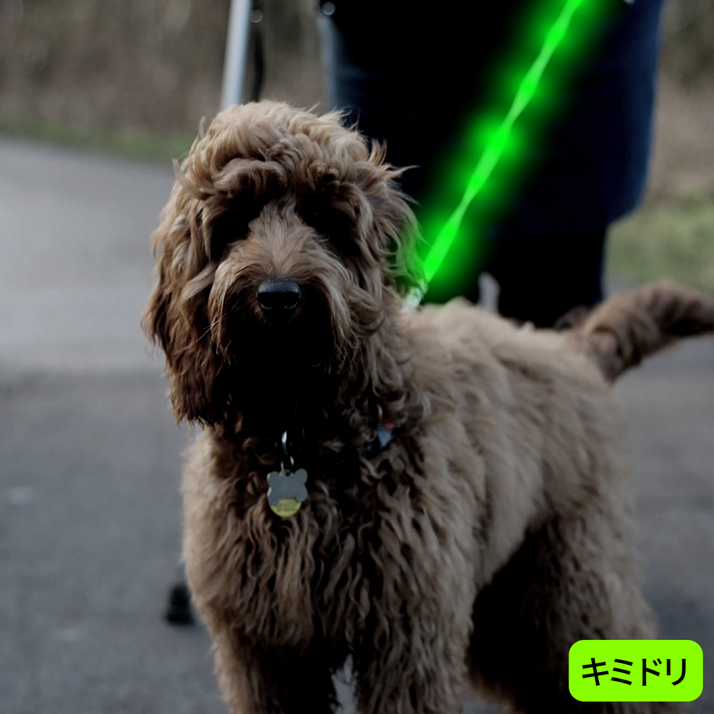【新モデル】犬 リード led 光る 充電式 ライト ドッグリード 1.2m 小型犬 中型犬 大型犬 送料無料 メール便 即日発送 ペット用品 全長全面ライト付き 夜間 安全対策 TERUI Lights