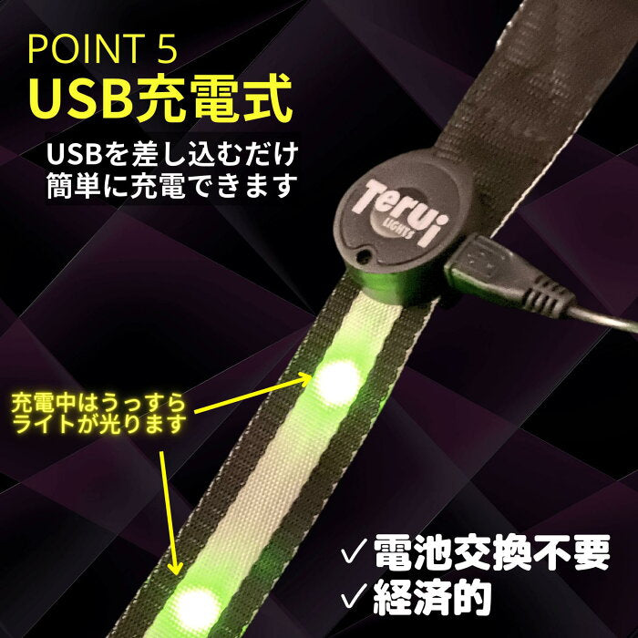 LED充電式光るドッグリード USB充電池 全長・両面発光 全長120cm 1サイズ  ランニング ライト