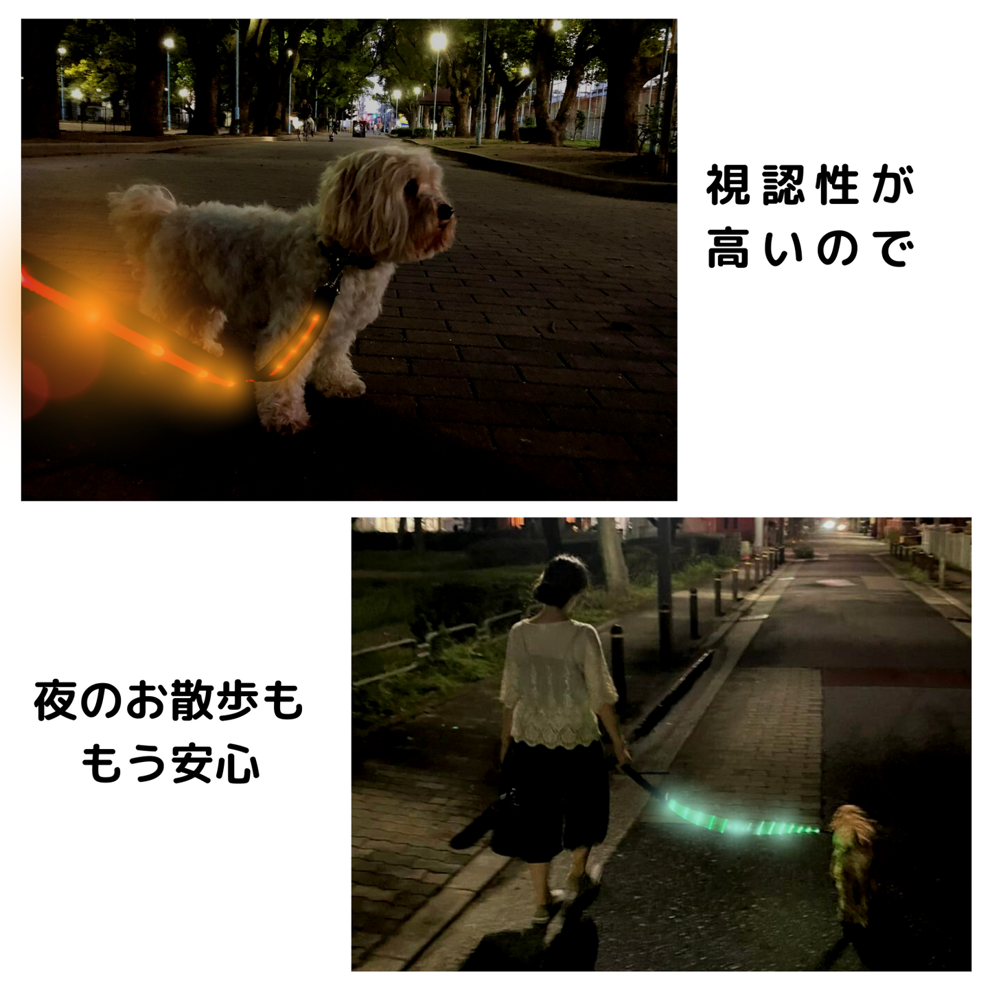 【新モデル】犬 リード led 光る 充電式 ライト ドッグリード 1.2m 小型犬 中型犬 大型犬 送料無料 メール便 即日発送 ペット用品 全長全面ライト付き 夜間 安全対策  TERUI Lights