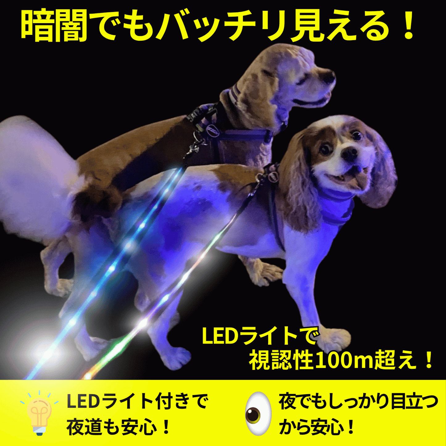 【新モデル】犬 リード led 光る 充電式 ライト ドッグリード 1.2m 小型犬 中型犬 大型犬 送料無料 メール便 即日発送 ペット用品 全長全面ライト付き 夜間 安全対策  TERUI Lights