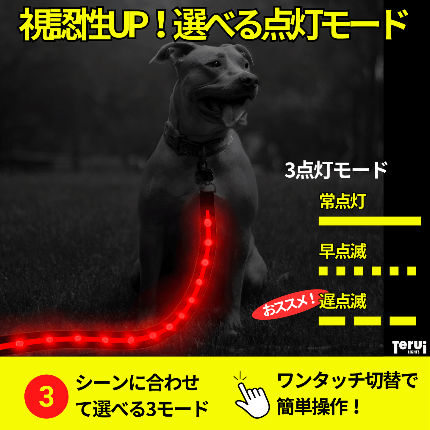 【新モデル】犬 リード led 光る 充電式 ライト ドッグリード 1.2m 小型犬 中型犬 大型犬 送料無料 メール便 即日発送 ペット用品 全長全面ライト付き 夜間 安全対策  TERUI Lights
