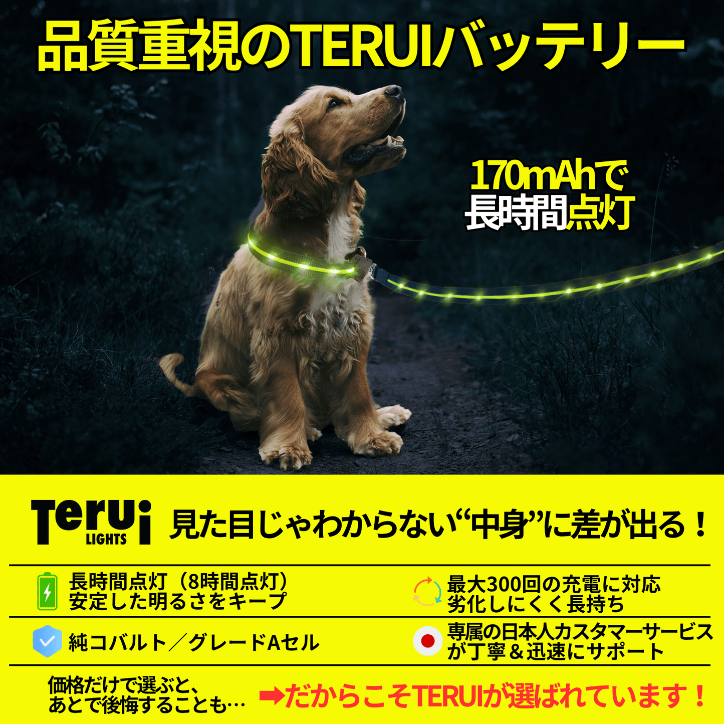 【新モデル】犬 リード led 光る 充電式 ライト ドッグリード 1.2m 小型犬 中型犬 大型犬 送料無料 メール便 即日発送 ペット用品 全長全面ライト付き 夜間 安全対策  TERUI Lights