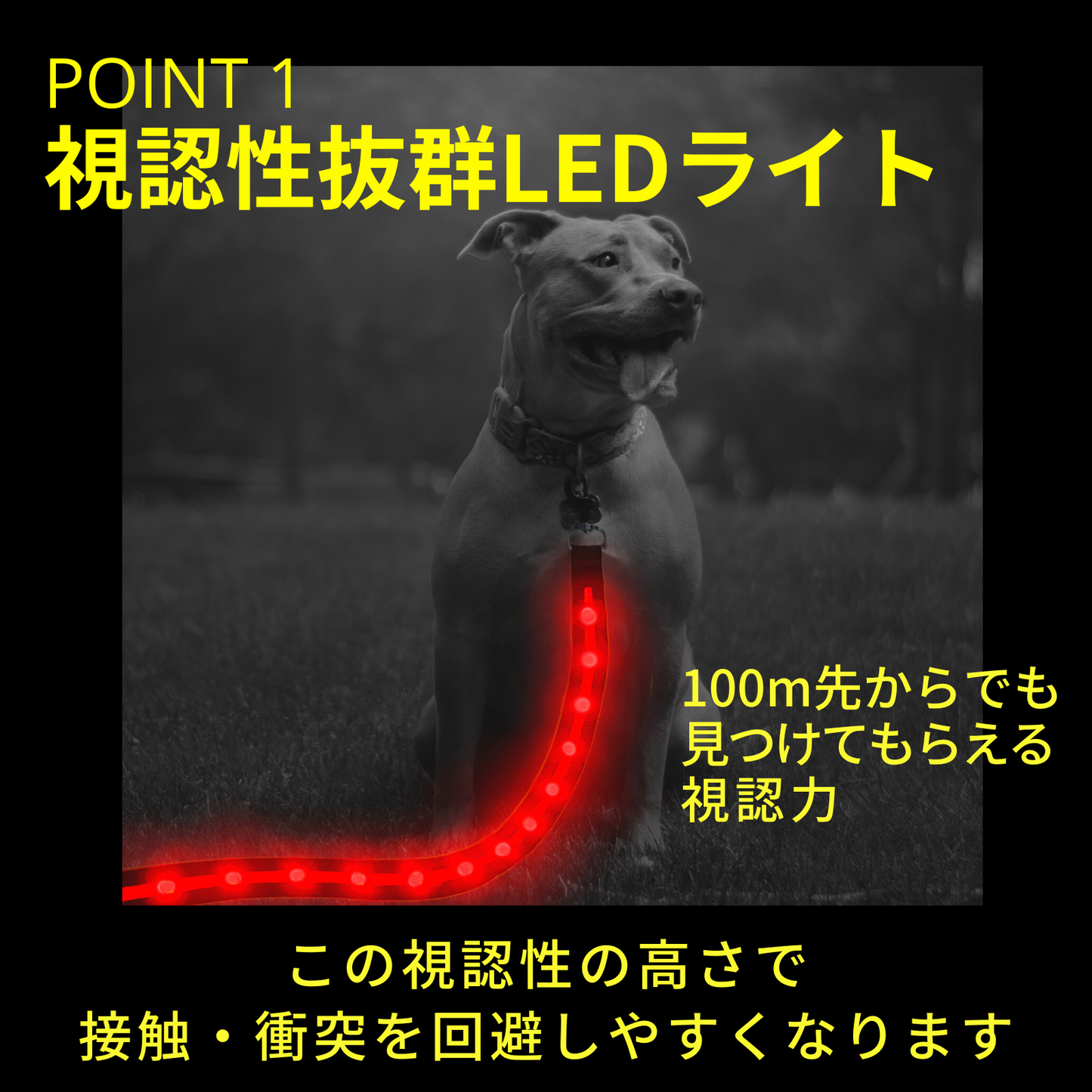 【新モデル】犬 リード led 光る 充電式 ライト ドッグリード 1.2m 小型犬 中型犬 大型犬 送料無料 メール便 即日発送 ペット用品 全長全面ライト付き 夜間 安全対策  TERUI Lights