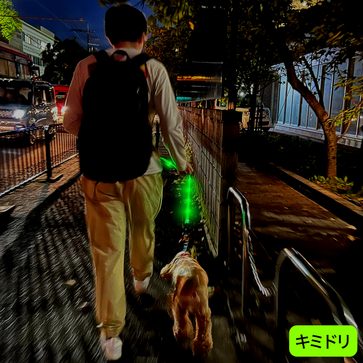 【新モデル】犬 リード led 光る 充電式 ライト ドッグリード 1.2m 小型犬 中型犬 大型犬 送料無料 メール便 即日発送 ペット用品 全長全面ライト付き 夜間 安全対策  TERUI Lights