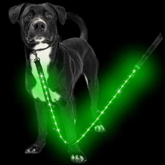 【新モデル】犬 リード led 光る 充電式 ライト ドッグリード 1.2m 小型犬 中型犬 大型犬 送料無料 メール便 即日発送 ペット用品 全長全面ライト付き 夜間 安全対策  TERUI Lights